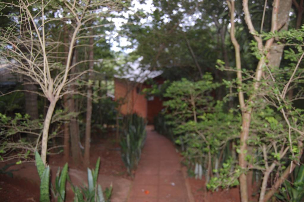 Panambi Lodge B&B بويرتو إجوازو المظهر الخارجي الصورة