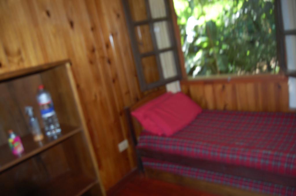 Panambi Lodge B&B بويرتو إجوازو المظهر الخارجي الصورة